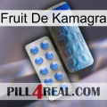 Kamagra Fruit 40